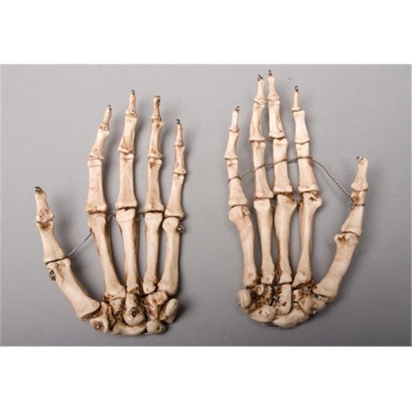Skeletons And More Skeletons and More SM376DRA Aged Right Skeleton Hand SM376DRA